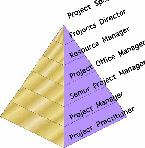 Figure 1: The project management hierarchy
