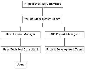 Figure 2: Project organizational structure