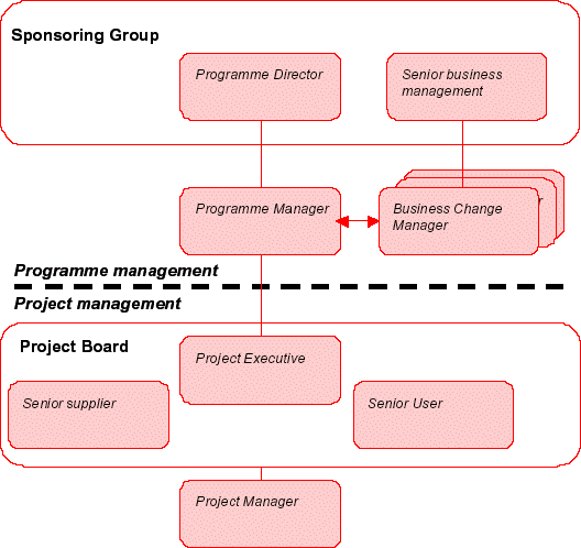 Figure 9. MSP Program and project roles