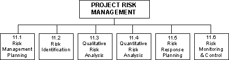 Figure 2: PMI's Project Risk Management Overview