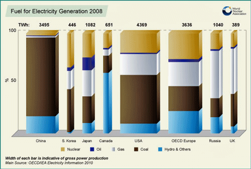 Figure 3: Distribution of fuel used for electricity generation in 2008.